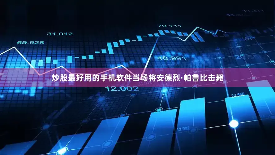 炒股最好用的手机软件当场将安德烈·帕鲁比击毙