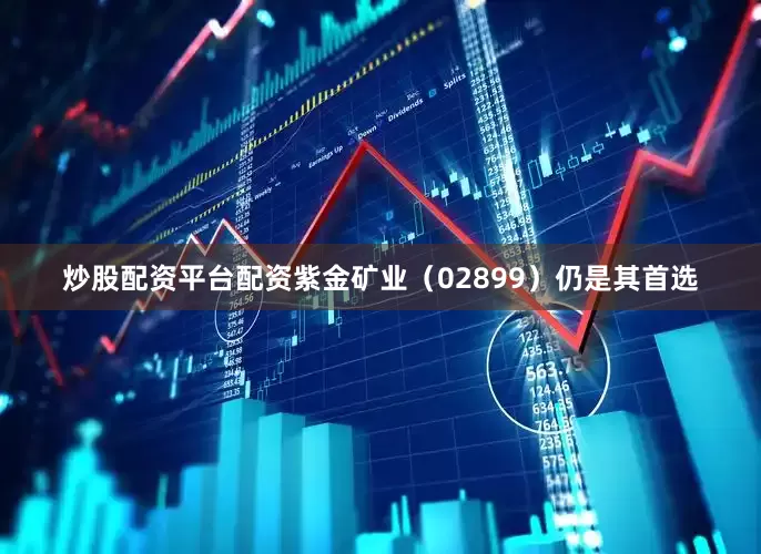 炒股配资平台配资紫金矿业（02899）仍是其首选