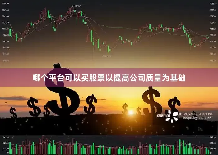 哪个平台可以买股票以提高公司质量为基础